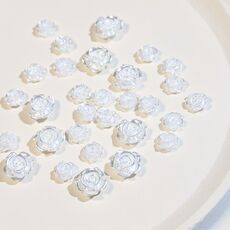 5 pacchetti SP0473 30pcs/pacchetto di strass decorativi per nail art 3d camelia (bianco argento)