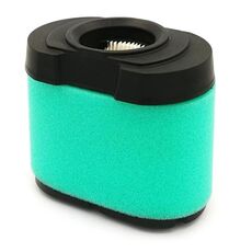 Filtro aria per Briggs & Stratton 792105 276890 4163205 4163206 44H777