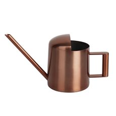 Annaffiatoio in acciaio inossidabile da 300 ml con beccuccio lungo (bronzo)