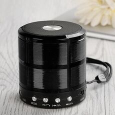 WS-887 Altoparlante Bluetooth con cordino, supporto Call & FM & U Disk & TF Hands-free Call & Ux (Black)