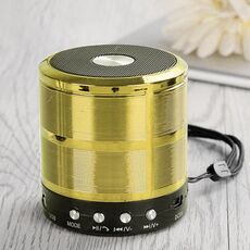 WS-887 Bluetooth Speaker with Lanyard, supporto Call & FM & U Disk & TF Hands-free Call & Ux (Gold)