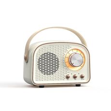 DW21 Vintage Radio BT Speaker Support TF Card/U Disk to Play (bianco)