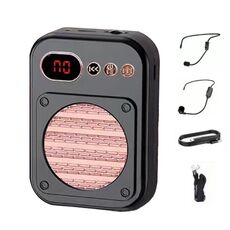 S25 Mini Bluetooth Guida per insegnanti Altoparlante Bancarelle che vendono altoparlanti, Colore: 2.4G Wireless Nero