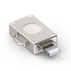 Adattatore multifunzione da USB a 8 pin (oro chiaro)
