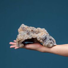 M Rettile Simulazione Rocce Nascondiglio Casa Tartaruga Lettino Solarium