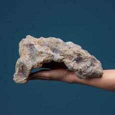 L Simulazione di Rettili Rocce Nascondiglio Casa Tartaruga Lettino Solarium