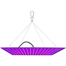 Lampada a LED per la crescita delle piante da serra Quantum Board, modello: spettro completo (spina AU)