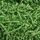 60g RF1101-20 Raffiti Filler Paper Grass Shredded Stropicciato Decorazioni di nozze Confezione regalo per feste (verde) 60g RF1101-20 Raffiti Filler Paper Grass Shredded Stropicciato Decorazioni di nozze Confezione regalo per feste (verde)