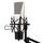 Microfono professionale per registrazione audio a condensatore per giochi Yanmai Q6, compatibile con PC e Mac per spettacoli dal vivo, KTV, ecc. (Nero) Microfono professionale per registrazione audio a condensatore per giochi Yanmai Q6, compatibile con PC e Mac per spettacoli dal vivo, KTV, ecc. (Nero)