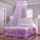 Zanzariera per soffitto sospeso circolare per uso domestico tende principessa (viola chiaro) Zanzariera per soffitto sospeso circolare per uso domestico tende principessa (viola chiaro)