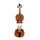 MicroDrive 8 GB USB 2.0 Disco medio per violino U.