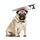 2 pezzi Creativo Gatto cane Halloween Divertente Tidy Puntelli Cappello con cappuccio con fascia, Taglia: S (Sega)