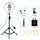 PULUZ 10,2 pollici 26 cm Anello luminoso + 1,1 m Supporto per treppiede USB 3 modalità Dimmerabile Doppia temperatura colore LED Curvo Luce diffusa Vlogging Selfie Fotografia Luci video con morsetto per telefono e telecomando per selfie (Nero) PULUZ 10,2 pollici 26 cm Anello luminoso + 1,1 m Supporto per treppiede USB 3 modalità Dimmerabile Doppia temperatura colore LED Curvo Luce diffusa Vlogging Selfie Fotografia Luci video con morsetto per telefono e telecomando per selfie (Nero)