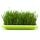 5 pezzi Bean Sprout Germinazione Vassoio Soilless Cultura POT Pentola (verde) 5 pezzi Bean Sprout Germinazione Vassoio Soilless Cultura POT Pentola (verde)