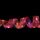 Ornamento natalizio a doppia luce a corda di corda di corda, specifica: 2m (luce di colore rosso)