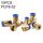 PCF8-02 LAIZE Connettore rapido pneumatico dritto con filettatura femmina da 10 pezzi PCF8-02 LAIZE Connettore rapido pneumatico dritto con filettatura femmina da 10 pezzi