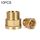 LAIZE 10 pezzi Filettatura interna ed esterna Diametro riduttore Filettatura esterna, Calibro: 3 punte-4 punte LAIZE 10 pezzi Filettatura interna ed esterna Diametro riduttore Filettatura esterna, Calibro: 3 punte-4 punte