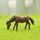 Figura di cavallo Fai da te Micro-paesaggio Paesaggistica bambola Decorazione del desktop Ornamenti (caffè)