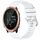 Per cinturino in silicone con fibbia argento lucido per Garmin Forerunner 645/645 Music (bianco) Per cinturino in silicone con fibbia argento lucido per Garmin Forerunner 645/645 Music (bianco)