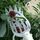 Grande cesto da giardino Testa raccoglitrice di frutta Artefatto per raccolta di frutta ad alta quota (Bianco) Grande cesto da giardino Testa raccoglitrice di frutta Artefatto per raccolta di frutta ad alta quota (Bianco)