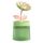 Umidificatore per aromaterapia USB con luce colorata idratante spray per fiori, colore: verde girasole