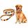 Tela + PU Guinzaglio per cani con strisce colorate S 1,5 x 120 cm