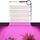 Pannello USB da 5 V, luce per piante, temporizzazione intelligente, LED per la crescita delle piante, dimensioni: 4 teste (luce rosa e viola) Pannello USB da 5 V, luce per piante, temporizzazione intelligente, LED per la crescita delle piante, dimensioni: 4 teste (luce rosa e viola)