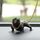 Accessori per console centrale per auto, cane Bully Car, decorazioni per cani sociali, ornamenti per interni auto (nero) Accessori per console centrale per auto, cane Bully Car, decorazioni per cani sociali, ornamenti per interni auto (nero)