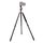 Triopo GT-2504X8.C Treppiede portatile regolabile in fibra di carbonio (oro) con testa a sfera in alluminio B-1 (nero) per fotocamera DSLR Canon Nikon Sony Triopo GT-2504X8.C Treppiede portatile regolabile in fibra di carbonio (oro) con testa a sfera in alluminio B-1 (nero) per fotocamera DSLR Canon Nikon Sony
