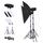 TRIOPO Oubao TTR400W 60x90cm Softbox da studio + Supporto per treppiede + 2x Lampadina E27 150W Illuminazione per fotografia Set di pezzi di traino TRIOPO Oubao TTR400W 60x90cm Softbox da studio + Supporto per treppiede + 2x Lampadina E27 150W Illuminazione per fotografia Set di pezzi di traino