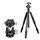BEXIN W324C M44 Treppiede in fibra di carbonio Fotocamera di ripresa stabile per fotocamera Dslr punto video BEXIN W324C M44 Treppiede in fibra di carbonio Fotocamera di ripresa stabile per fotocamera Dslr punto video