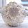 Wedding Holding Perla Diamante Fiori Bouquet da sposa Accessori Damigella d'onore Strass Decorazioni per matrimoni per feste, Diametro: 20 cm Wedding Holding Perla Diamante Fiori Bouquet da sposa Accessori Damigella d'onore Strass Decorazioni per matrimoni per feste, Diametro: 20 cm