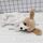 Astuccio per matite per cani in peluche di cartone animato kawaii Astuccio per penna per animali carino Scatola per materiale scolastico per bambini Cancelleria (Labrador bianco giallo) Astuccio per matite per cani in peluche di cartone animato kawaii Astuccio per penna per animali carino Scatola per materiale scolastico per bambini Cancelleria (Labrador bianco giallo)