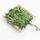 5 pezzi Ghirlanda di foglie di stoffa Accessori per la decorazione Foglia verde Foglia di canna Simulazione Ghirlanda fai da te Materiale, Dimensioni: 10 metri / Carta 5 pezzi Ghirlanda di foglie di stoffa Accessori per la decorazione Foglia verde Foglia di canna Simulazione Ghirlanda fai da te Materiale, Dimensioni: 10 metri / Carta