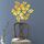 2 set modello flower wall sticker home decor 3D wall decalcomania art fai da te adesivi murali specchi day decorazione della camera (oro) 2 set modello flower wall sticker home decor 3D wall decalcomania art fai da te adesivi murali specchi day decorazione della camera (oro)