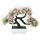 Simulazione Benvenuto Pine Decoration Desktop Decoration (rosa)