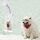 Cat per cani del cane della macchina fotografica dell'animale domestico che esamina la clip del telefono della macchina fotografica (bianco) Cat per cani del cane della macchina fotografica dell'animale domestico che esamina la clip del telefono della macchina fotografica (bianco)