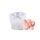 SX-ZW-193 Stampo in silicone per candela tridimensionale carnosa Stampo epossidico per aromaterapia sapone fatto a mano fai da te SX-ZW-193 Stampo in silicone per candela tridimensionale carnosa Stampo epossidico per aromaterapia sapone fatto a mano fai da te