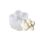SX-ZW-194 Stampo in silicone per candela tridimensionale carnosa Stampo epossidico per aromaterapia sapone fatto a mano fai da te SX-ZW-194 Stampo in silicone per candela tridimensionale carnosa Stampo epossidico per aromaterapia sapone fatto a mano fai da te