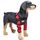Pet Dog Gambe Guardia Guardia Chirurgia Infortunio Cover protettiva, Dimensioni: L (modello classico (rosso)) Pet Dog Gambe Guardia Guardia Chirurgia Infortunio Cover protettiva, Dimensioni: L (modello classico (rosso))