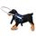 Anello di protezione anello anello anello anello anello anello anello anello anello di protezione del cane, Specificazioni: S (Blu) Anello di protezione anello anello anello anello anello anello anello anello anello di protezione del cane, Specificazioni: S (Blu)