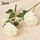 10 PCS JC0055 Continental Core Flower Beam Simulazione di nozze Flower Home Fiore di seta artificiale (peonia bianco) 10 PCS JC0055 Continental Core Flower Beam Simulazione di nozze Flower Home Fiore di seta artificiale (peonia bianco)