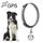 G15 IP67 Localizzatore GPS per animali domestici impermeabile GPS + Beidou + AGPS + WiFi + Localizzatore stazione base (argento) G15 IP67 Localizzatore GPS per animali domestici impermeabile GPS + Beidou + AGPS + WiFi + Localizzatore stazione base (argento)
