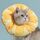 Cat Elizabeth Collar Covere Cover antisetting Cover, dimensioni: S (arancione) Cat Elizabeth Collar Covere Cover antisetting Cover, dimensioni: S (arancione)