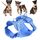 Cinturino pettorale per cani color macaron con cinturino in PVC per animali domestici, taglia: XS (azzurro) Cinturino pettorale per cani color macaron con cinturino in PVC per animali domestici, taglia: XS (azzurro)
