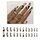 24 toppe per manicure da balletto con finitura leopardata smerigliata/scatola (BKS549) 24 toppe per manicure da balletto con finitura leopardata smerigliata/scatola (BKS549)