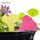 Etichetta floreale 100PCS Etichetta giardinaggio Etichetta piccola carta impermeabile Etichetta in vaso, consegna a colori casuali