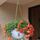 Vasi da fiori in plastica sospesi Vasi da fiori appesi con catena sospesa, dimensioni ridotte: 20 * 13,6 cm, consegna a colori casuali