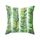 Piante tropicali Federa da cuscino in poliestere Federe decorative Foglie verdi Copricuscino da tiro Quadrato 45 cm x 45 cm (26) Piante tropicali Federa da cuscino in poliestere Federe decorative Foglie verdi Copricuscino da tiro Quadrato 45 cm x 45 cm (26)