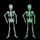 Forniture luminoso Halloween Skeleton Attività Puntelli Bar Haunted House Decoration scheletro fluorescente
